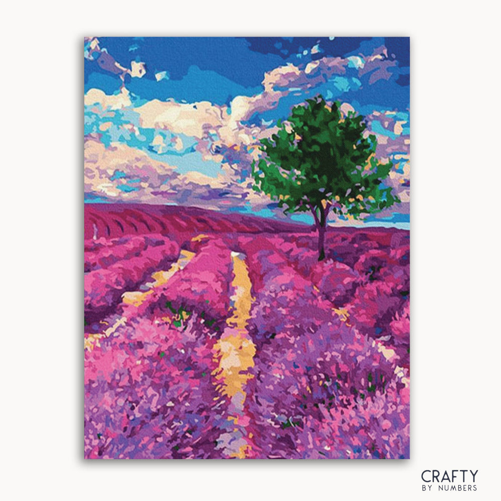 Lavender fields of Provence (ONLINE ORDER ONLY)