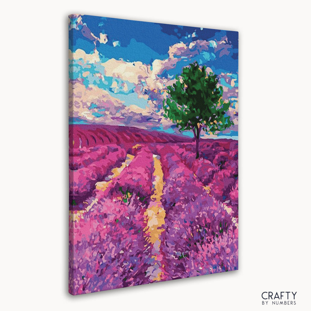 Lavender fields of Provence (ONLINE ORDER ONLY)
