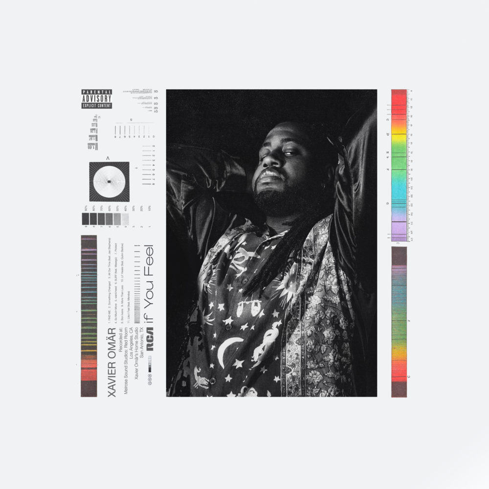 IF YOU FEEL [Vinyl]
