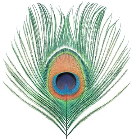 Apple Venus Vol. 1 (200 Gram Vinyl) [Import] [Vinyl]