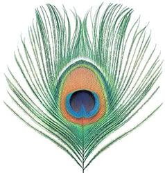 Apple Venus Vol. 1 (200 Gram Vinyl) [Import] [Vinyl]