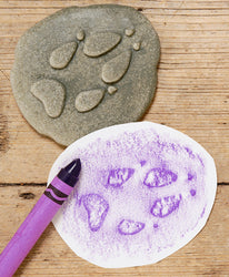 Animals & Footprints: Woodland Sensory Stones Set (ONLINE ORDER ONLY)