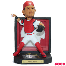 Framed Jersey Bobbleheads (ONLINE ORDER ONLY)