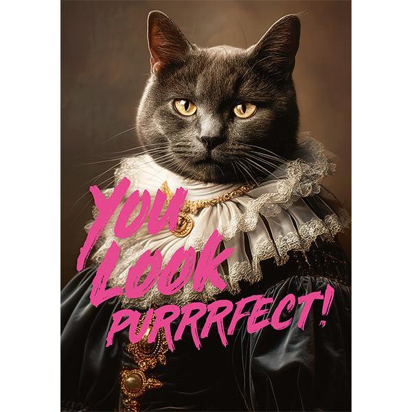 You Look Purrrfect! 1000 Piece Jigsaw Puzzle Piatnik (ONLINE ORDER ONLY)