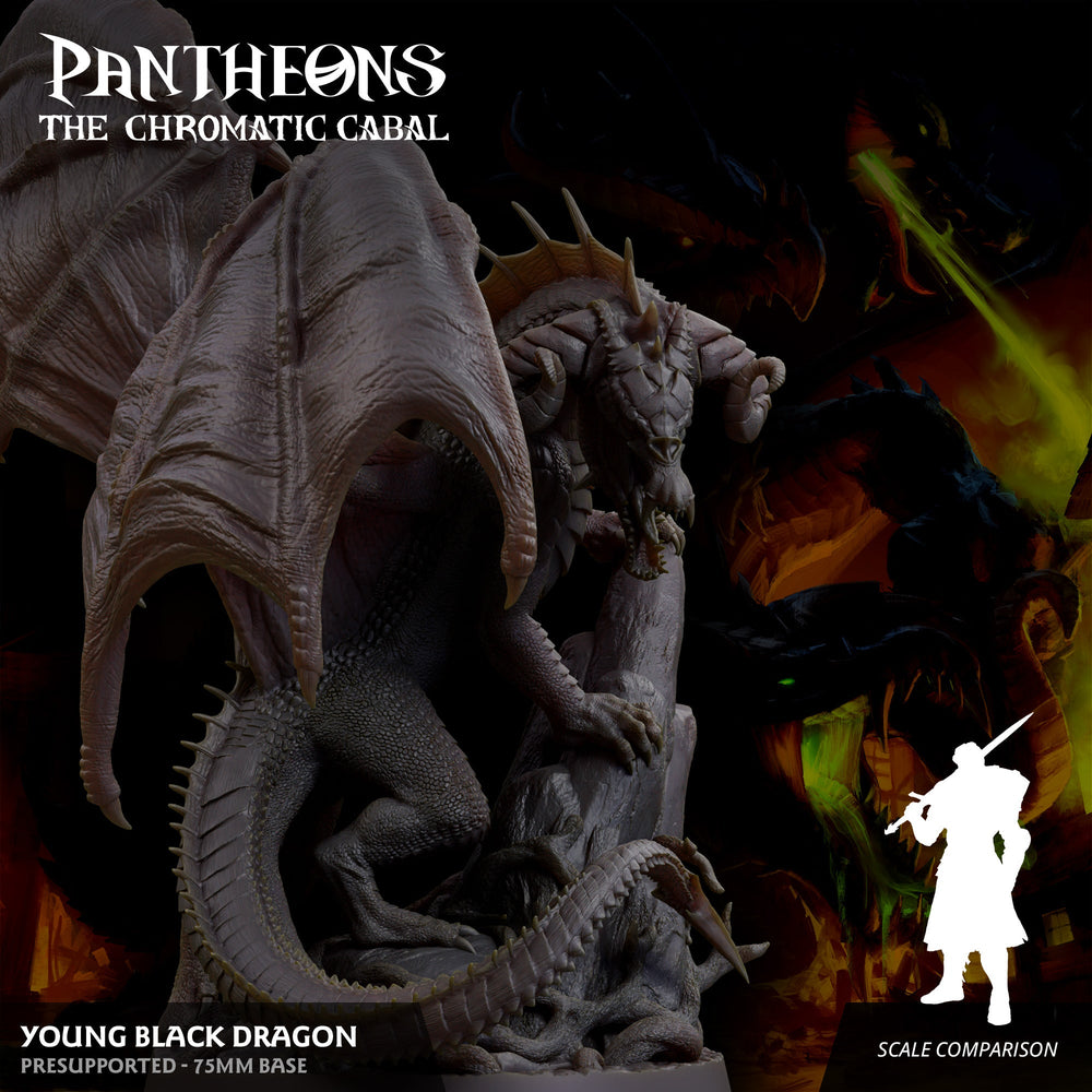 3D Printed Sordane Publishing Young Black Dragon Pantheons The Chromatic Cabal 28 32mm D&D (Online Only)