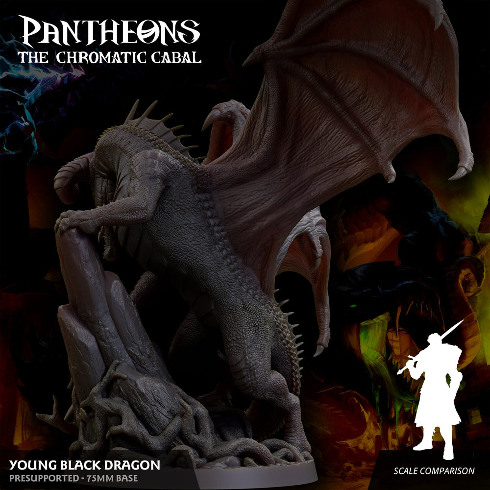 3D Printed Sordane Publishing Young Black Dragon Pantheons The Chromatic Cabal 28 32mm D&D (Online Only)