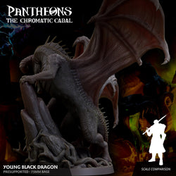 3D Printed Sordane Publishing Young Black Dragon Pantheons The Chromatic Cabal 28 32mm D&D (Online Only)