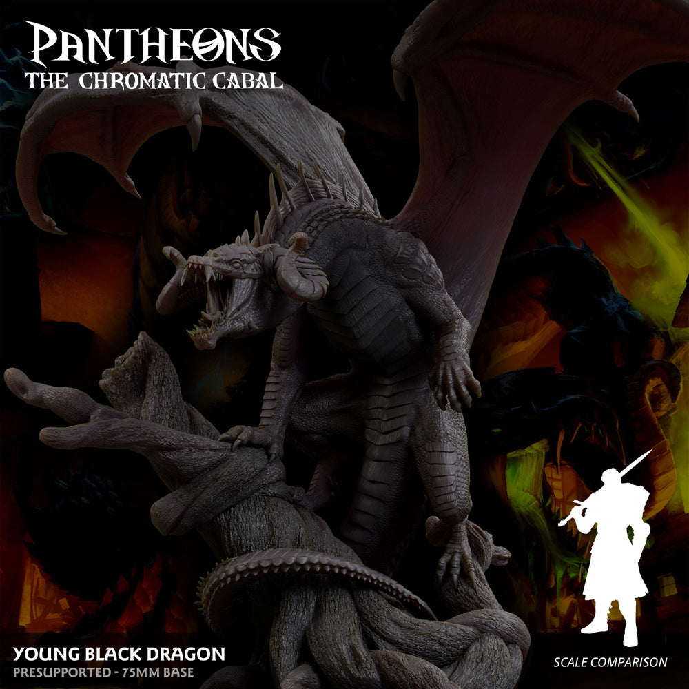 3D Printed Sordane Publishing Young Black Dragon Pantheons The Chromatic Cabal 28 32mm D&D (Online Only)