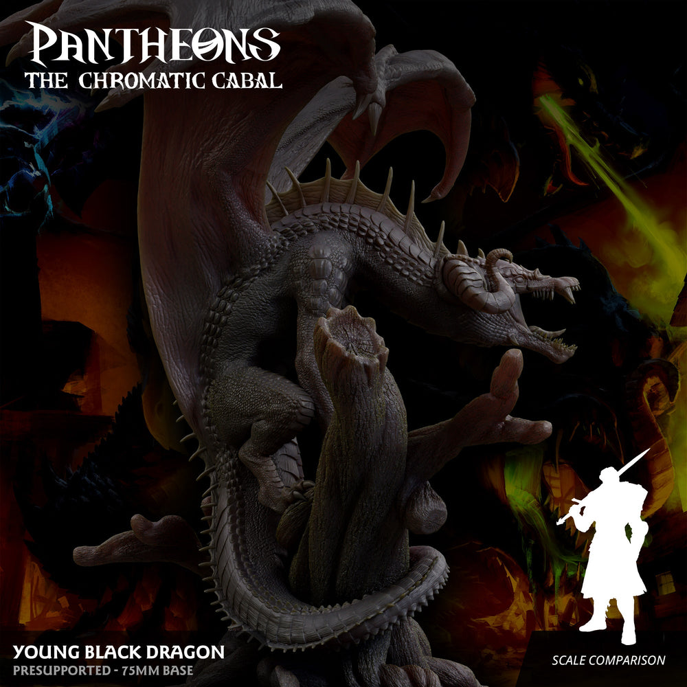 3D Printed Sordane Publishing Young Black Dragon Pantheons The Chromatic Cabal 28 32mm D&D (Online Only)