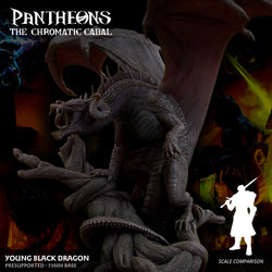 3D Printed Sordane Publishing Young Black Dragon Pantheons The Chromatic Cabal 28 32mm D&D (Online Only)