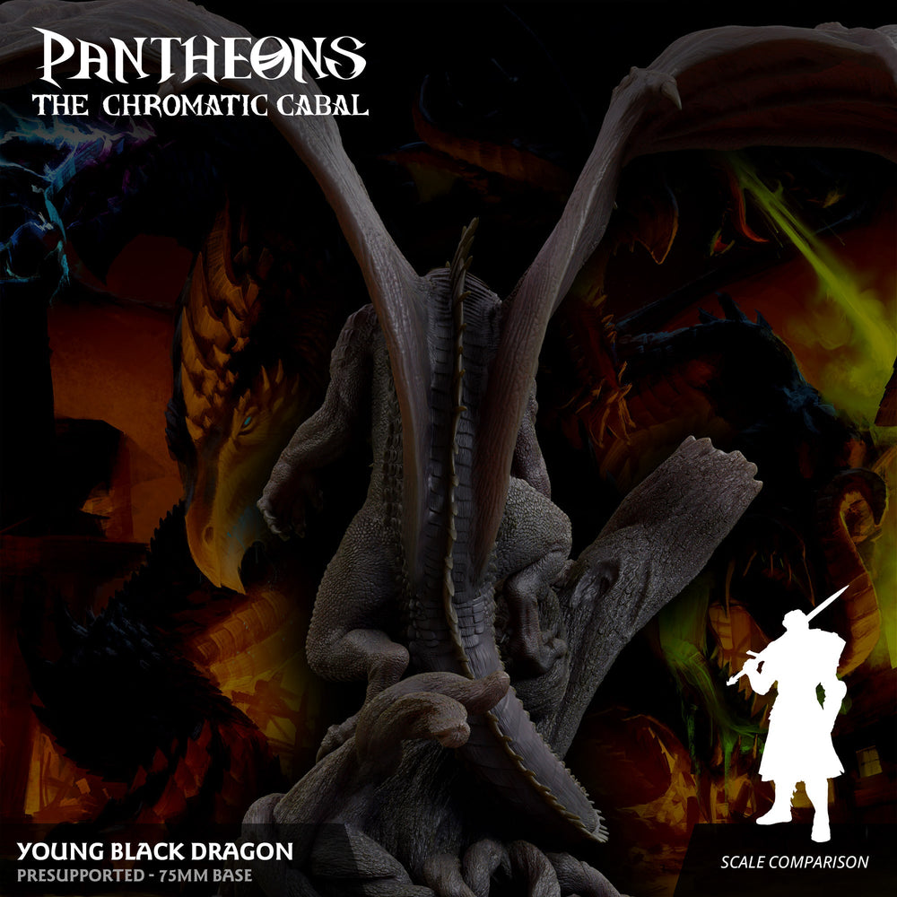 3D Printed Sordane Publishing Young Black Dragon Pantheons The Chromatic Cabal 28 32mm D&D (Online Only)