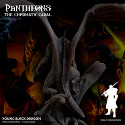 3D Printed Sordane Publishing Young Black Dragon Pantheons The Chromatic Cabal 28 32mm D&D (Online Only)