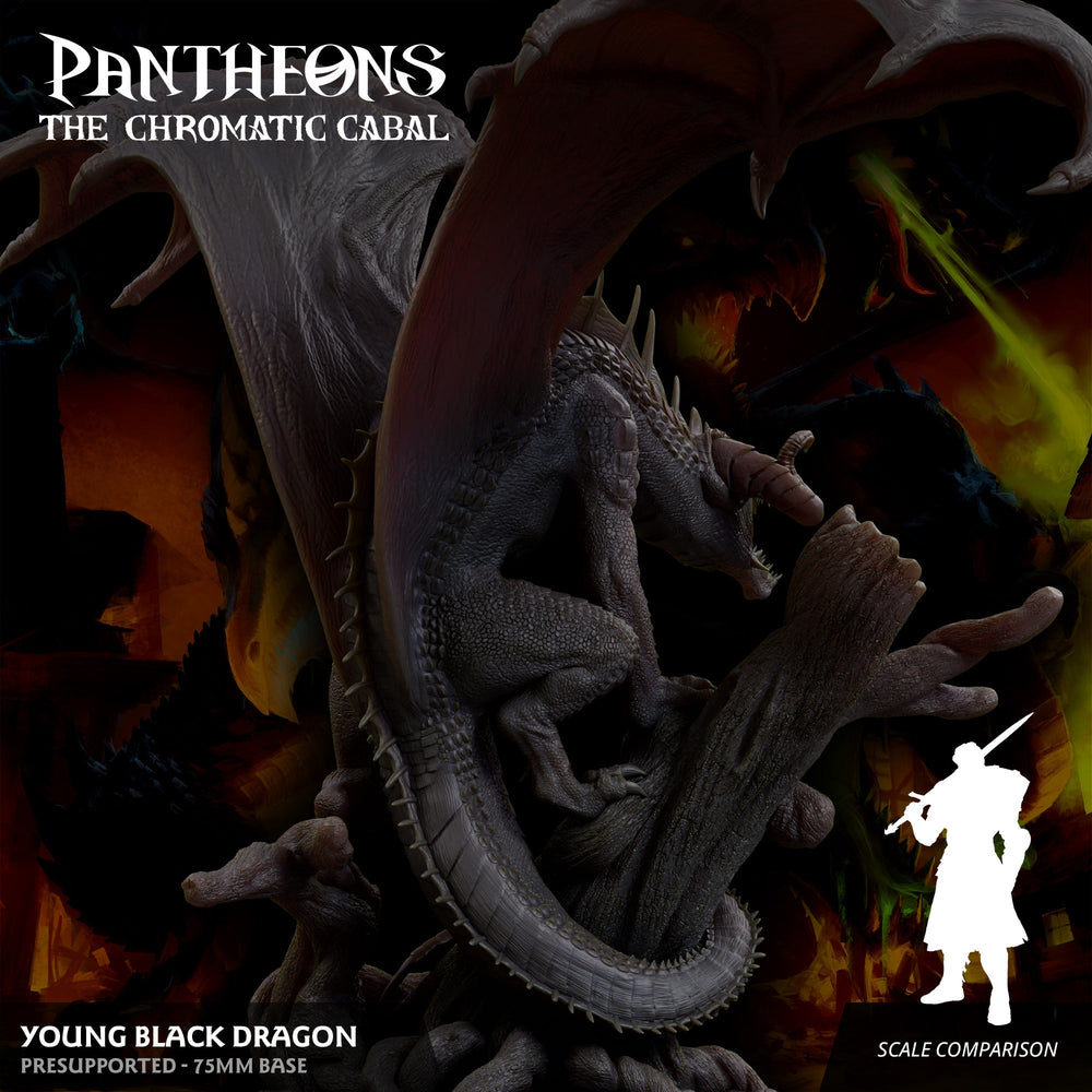 3D Printed Sordane Publishing Young Black Dragon Pantheons The Chromatic Cabal 28 32mm D&D (Online Only)