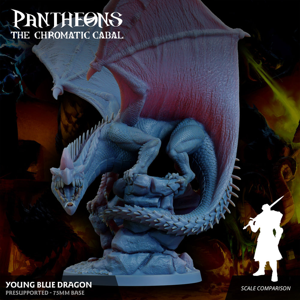 3D Printed Sordane Publishing Young Blue Dragon Pantheons The Chromatic Cabal 28 32mm D&D (Online Only)