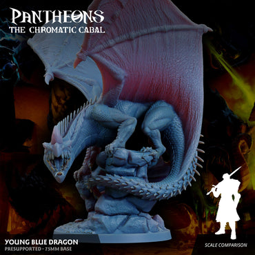 3D Printed Sordane Publishing Young Blue Dragon Pantheons The Chromatic Cabal 28 32mm D&D (Online Only)
