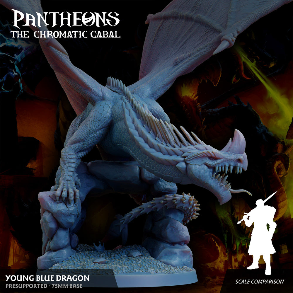 3D Printed Sordane Publishing Young Blue Dragon Pantheons The Chromatic Cabal 28 32mm D&D (Online Only)