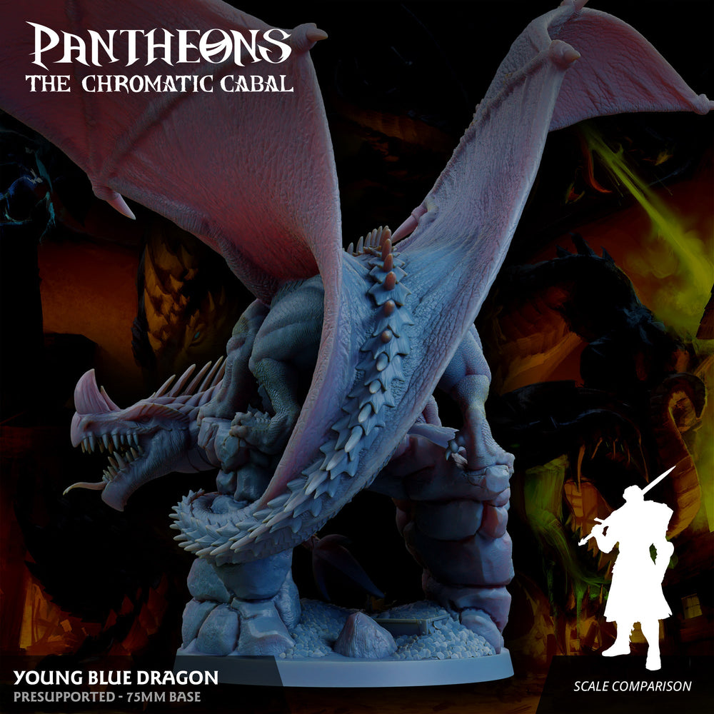 3D Printed Sordane Publishing Young Blue Dragon Pantheons The Chromatic Cabal 28 32mm D&D (Online Only)