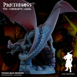3D Printed Sordane Publishing Young Blue Dragon Pantheons The Chromatic Cabal 28 32mm D&D (Online Only)
