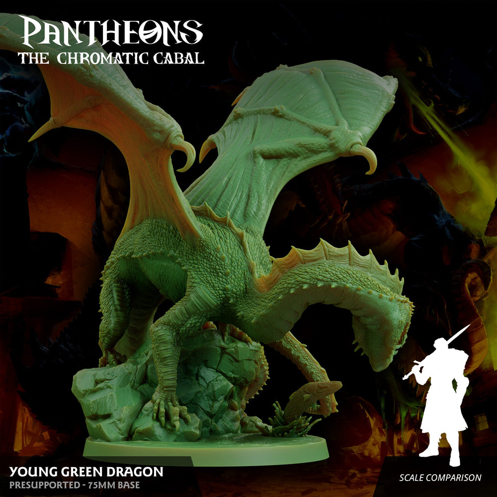 3D Printed Sordane Publishing Young Green Dragon Pantheons The Chromatic Cabal 28 32mm D&D (Online Only)