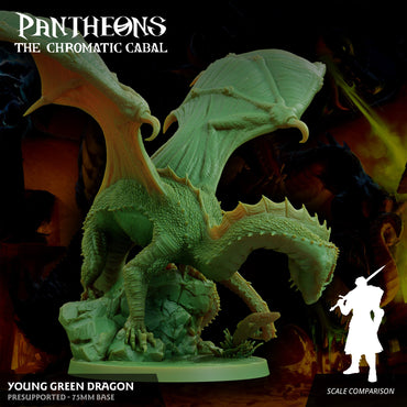 3D Printed Sordane Publishing Young Green Dragon Pantheons The Chromatic Cabal 28 32mm D&D (Online Only)