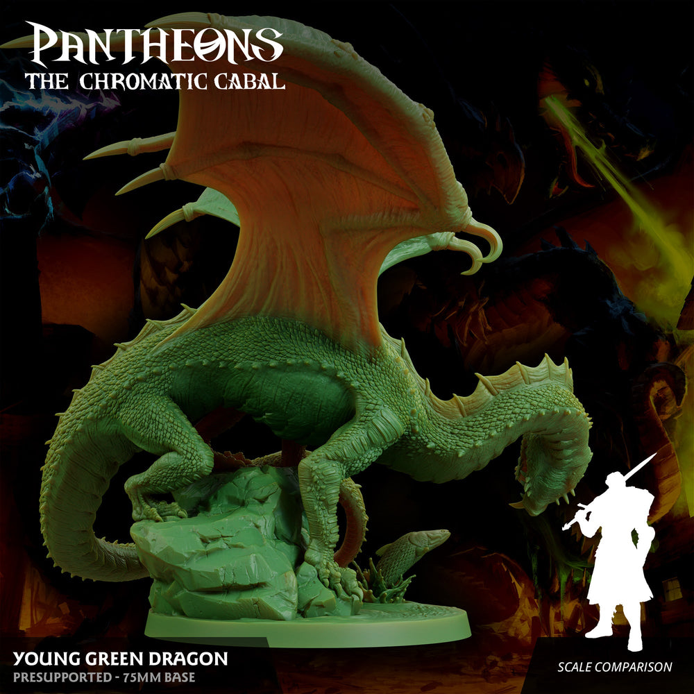3D Printed Sordane Publishing Young Green Dragon Pantheons The Chromatic Cabal 28 32mm D&D (Online Only)