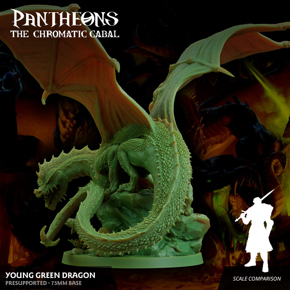 3D Printed Sordane Publishing Young Green Dragon Pantheons The Chromatic Cabal 28 32mm D&D (Online Only)