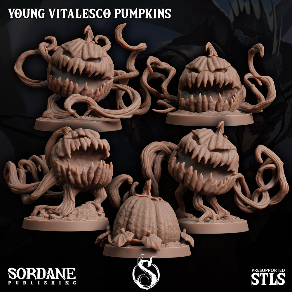 3D Printed Sordane Publishing Young Vitalesco Pumpkins 28 32mm D&D (Online Only)