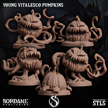 3D Printed Sordane Publishing Young Vitalesco Pumpkins 28 32mm D&D (Online Only)