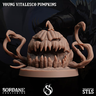 3D Printed Sordane Publishing Young Vitalesco Pumpkins 28 32mm D&D (Online Only)