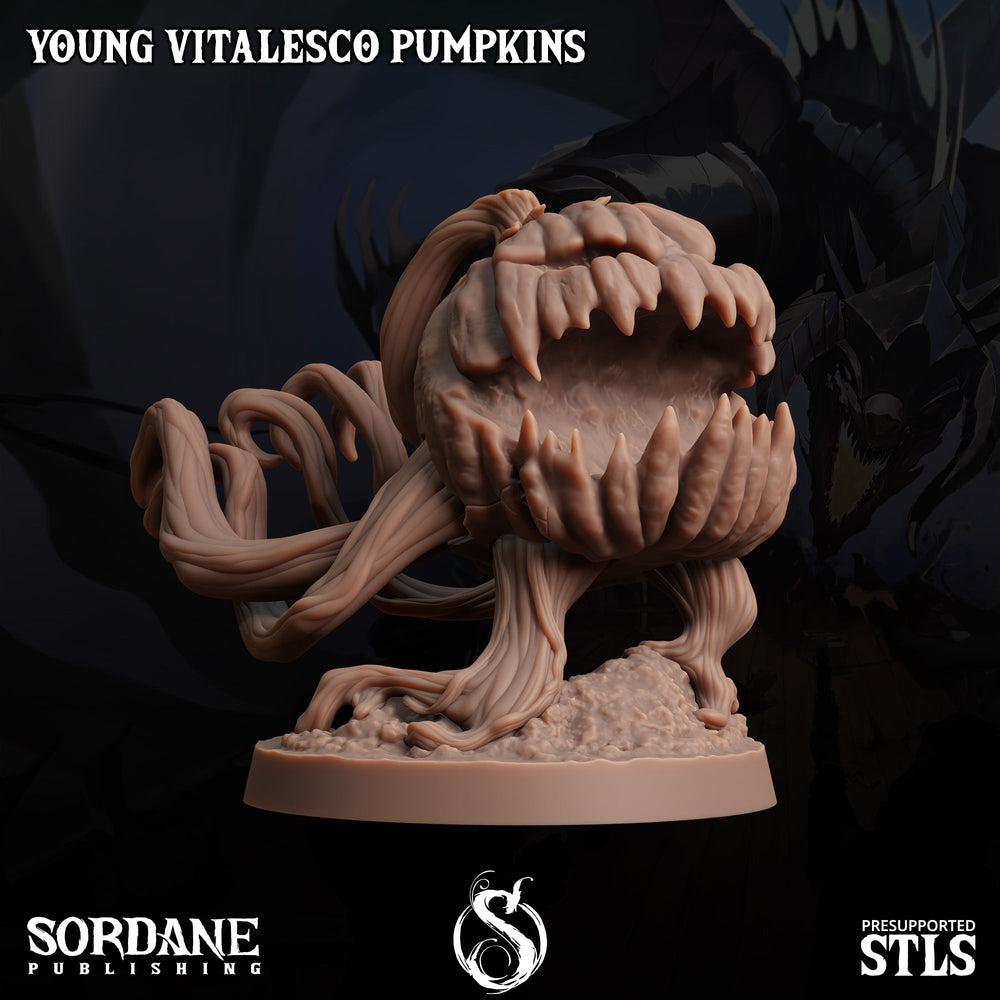 3D Printed Sordane Publishing Young Vitalesco Pumpkins 28 32mm D&D (Online Only)