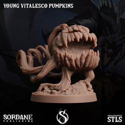 3D Printed Sordane Publishing Young Vitalesco Pumpkins 28 32mm D&D (Online Only)