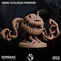 3D Printed Sordane Publishing Young Vitalesco Pumpkins 28 32mm D&D (Online Only)