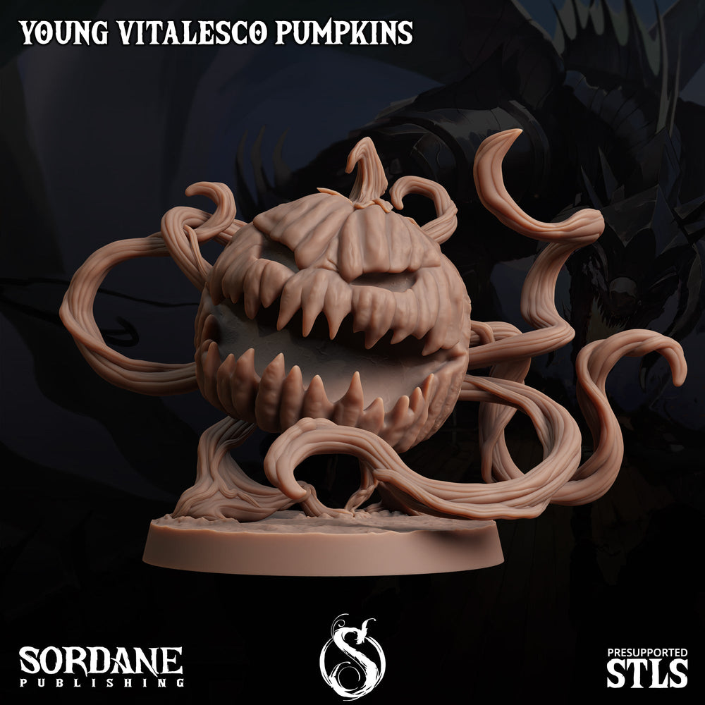 3D Printed Sordane Publishing Young Vitalesco Pumpkins 28 32mm D&D (Online Only)