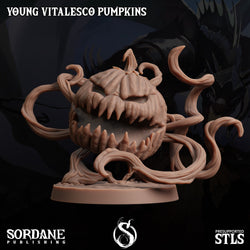 3D Printed Sordane Publishing Young Vitalesco Pumpkins 28 32mm D&D (Online Only)