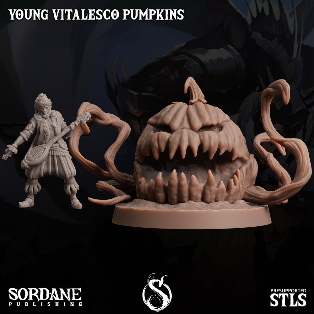 3D Printed Sordane Publishing Young Vitalesco Pumpkins 28 32mm D&D (Online Only)