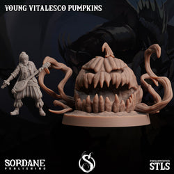 3D Printed Sordane Publishing Young Vitalesco Pumpkins 28 32mm D&D (Online Only)