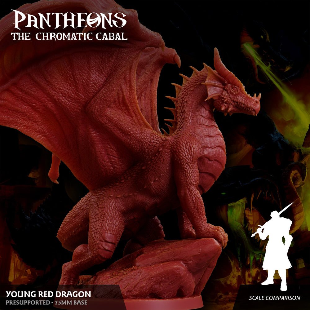 3D Printed Sordane Publishing Young Red Dragon Pantheons The Chromatic Cabal 28 32mm D&D (Online Only)