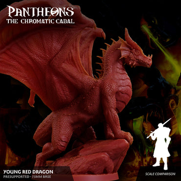 3D Printed Sordane Publishing Young Red Dragon Pantheons The Chromatic Cabal 28 32mm D&D (Online Only)