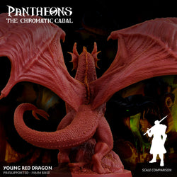 3D Printed Sordane Publishing Young Red Dragon Pantheons The Chromatic Cabal 28 32mm D&D (Online Only)