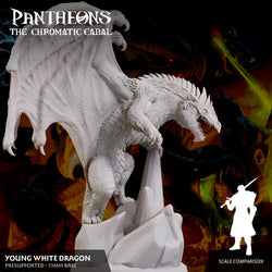 3D Printed Sordane Publishing Young White Dragon Pantheons The Chromatic Cabal 28 32mm D&D (Online Only)