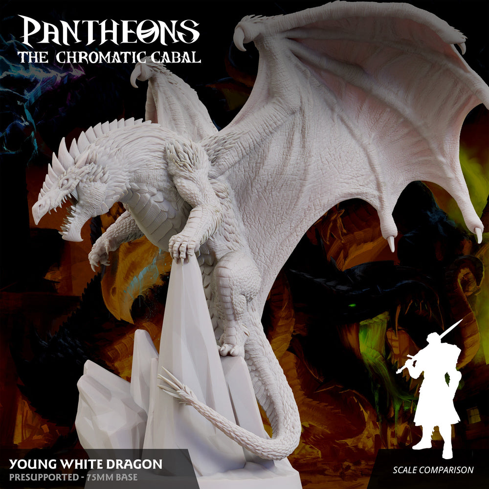 3D Printed Sordane Publishing Young White Dragon Pantheons The Chromatic Cabal 28 32mm D&D (Online Only)