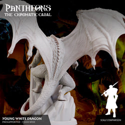 3D Printed Sordane Publishing Young White Dragon Pantheons The Chromatic Cabal 28 32mm D&D (Online Only)