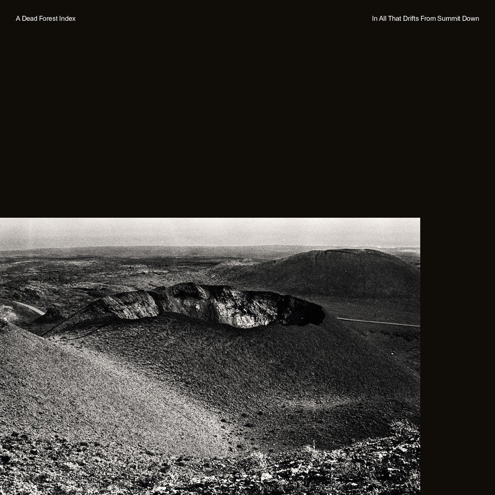 In All That Drifts From Summit Down [Vinyl]