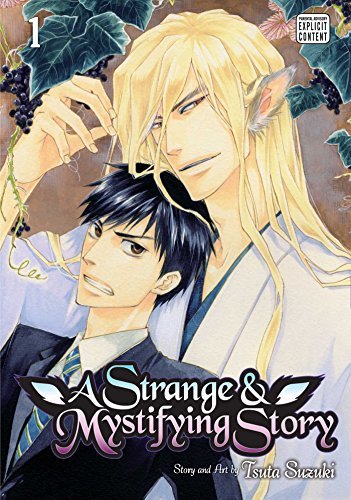 A Strange and Mystifying Story Vol 1 (Online Order Only)