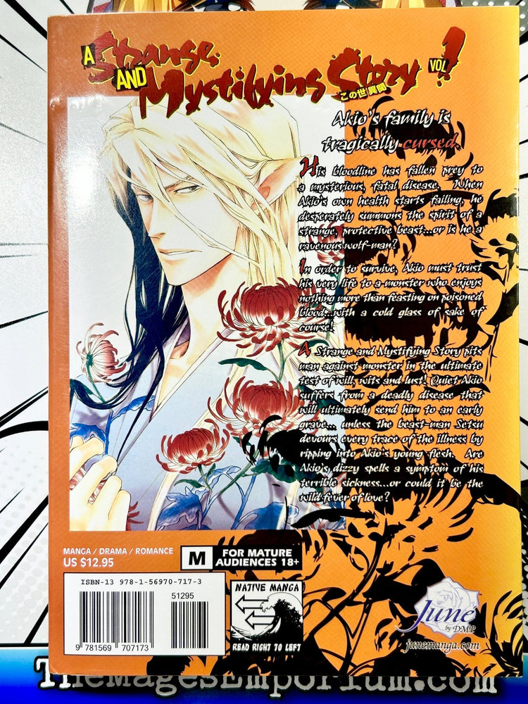 A Strange and Mystifying Story Vol 1 Oversized (Online Order Only)