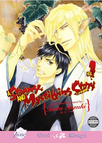 A Strange and Mystifying Story Vol 1 Oversized (Online Order Only)