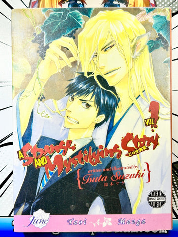 A Strange and Mystifying Story Vol 1 Oversized (Online Order Only)