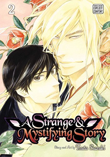 A Strange and Mystifying Story Vol 2 (Online Order Only)