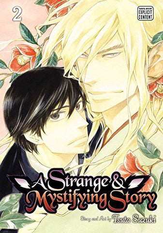 A Strange and Mystifying Story Vol 2 (Online Order Only)
