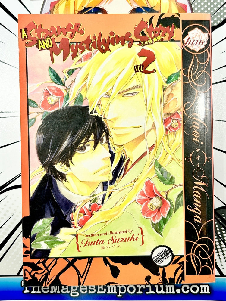 A Strange and Mystifying Story Vol 2 Oversized (Online Order Only)